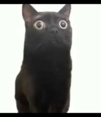 çøț
