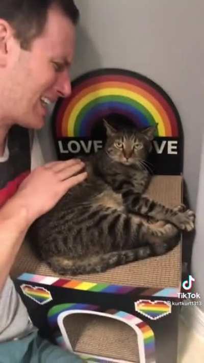 You just don’t see any happy gay people. You just don’t.