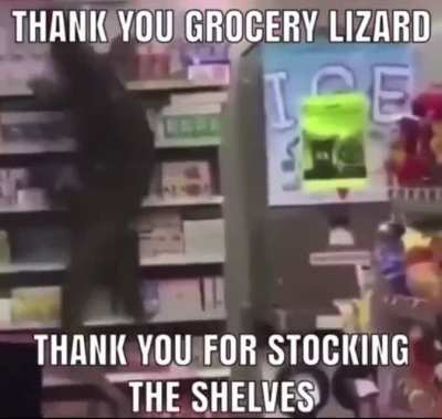 Lizard