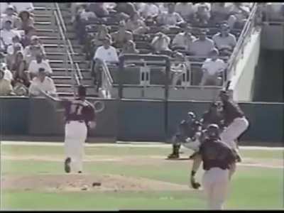 Good man takes one out with a baseball.