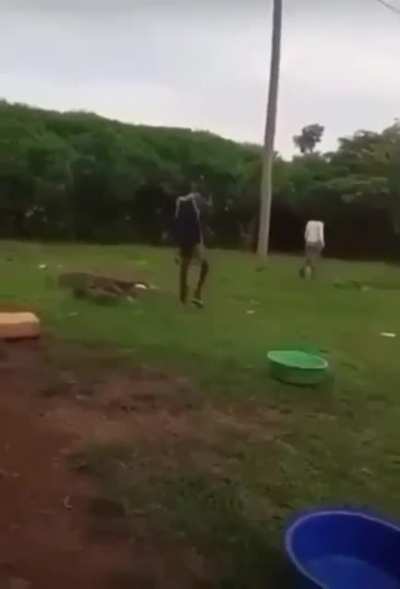 clean slap