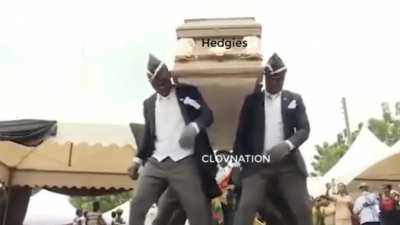 Hedgies be like when we done squeezing ⚰️⚰️⚰<wbr>️🍀🍀🍀