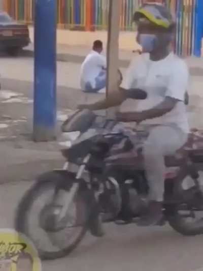 Spartan Revenge Bycicle Antitheft Device