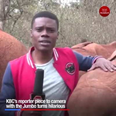 To report the news