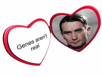 Genes are not real