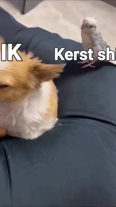 ik_ihe