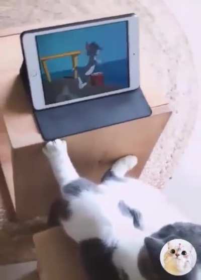Just chillin'