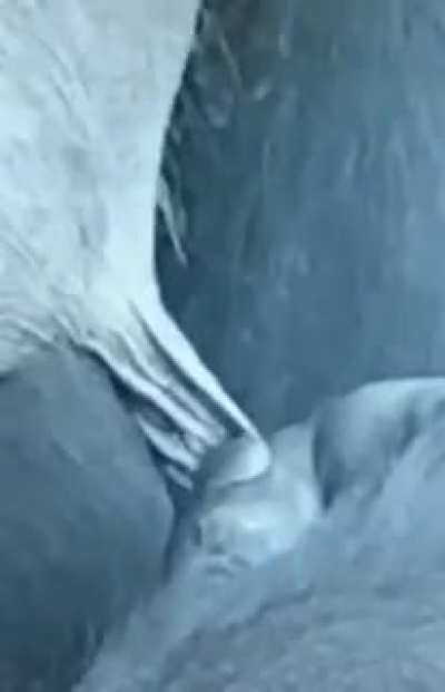 Пятница