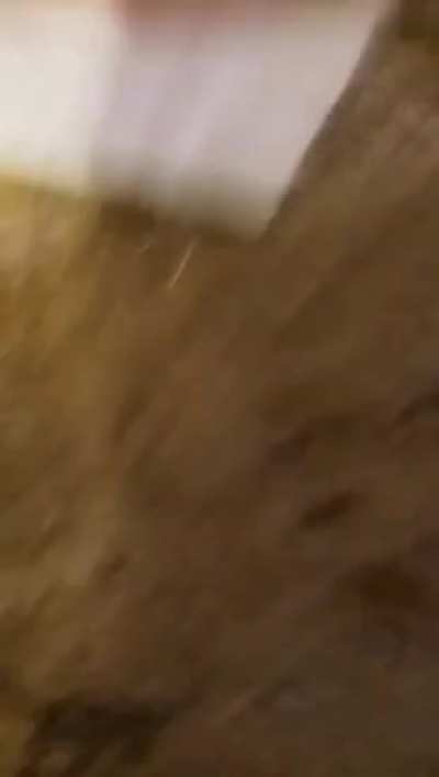 Pizz-OW