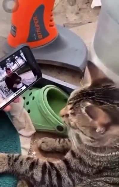 nice