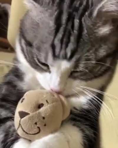 Favorite toy