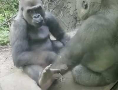 Giving a twister to your bro