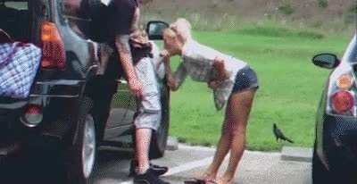 Dogging