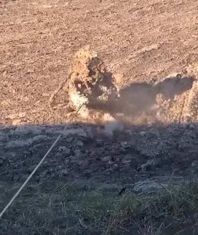 Field of dirt