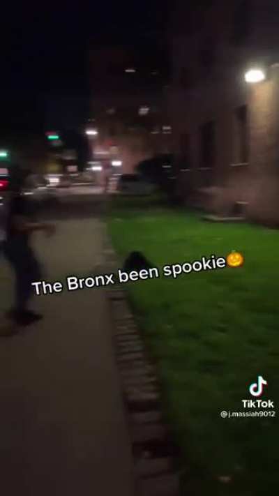 The Bronx a bit odd if you ask me.