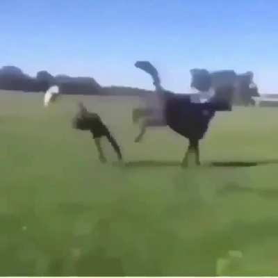 Tasaklarım ağridi :D