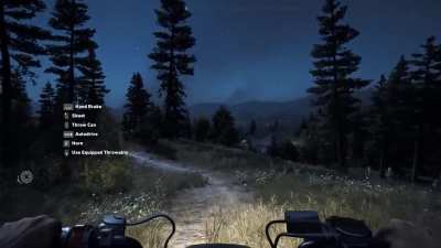 Eyes on the road