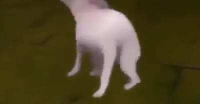 Yes