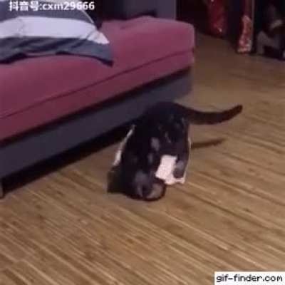 MRW when I charge a rogue