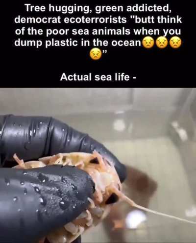 I will start a charity to feed plastic waste to marine life.