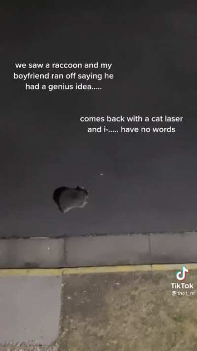 Chasing the red dot