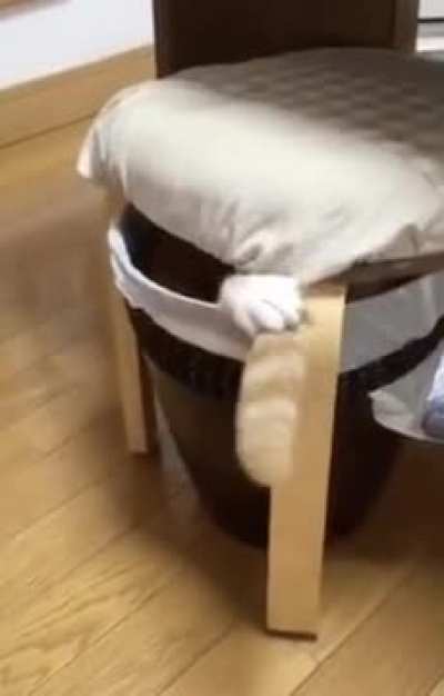 Oooops, I’ll just grab that