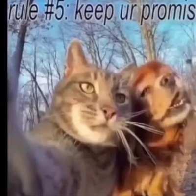 rule