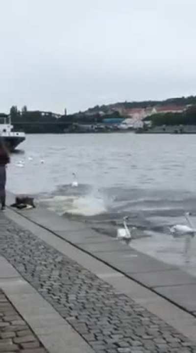 Two drunk men enjoying their ride