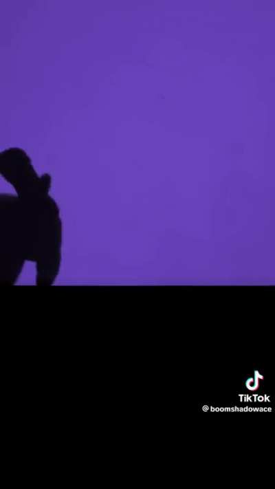 The best shadow puppets