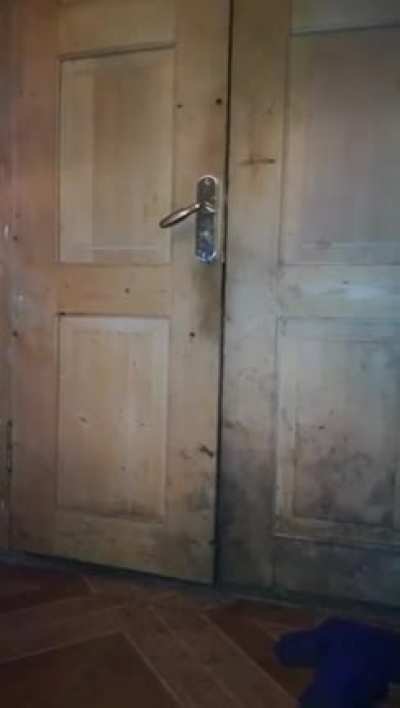 There’s a bear at the door
