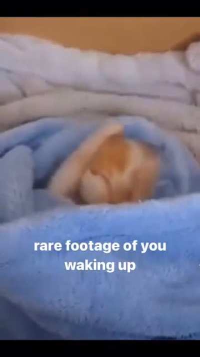 Yawn 🥱