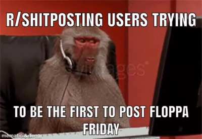 It’s the funny cat guys, laugh at it again this week!