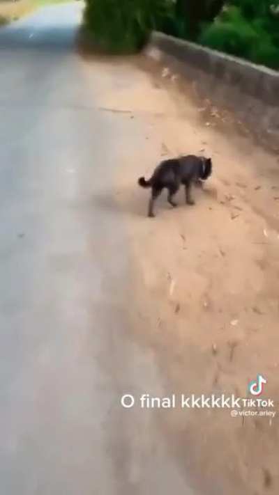 weee