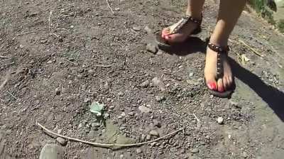 Butterfly Crushing