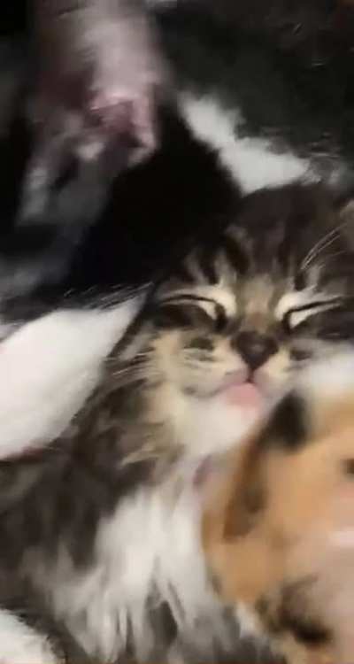 me_irl