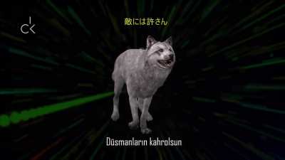 Yaşasın Irkımız Ama Japonca