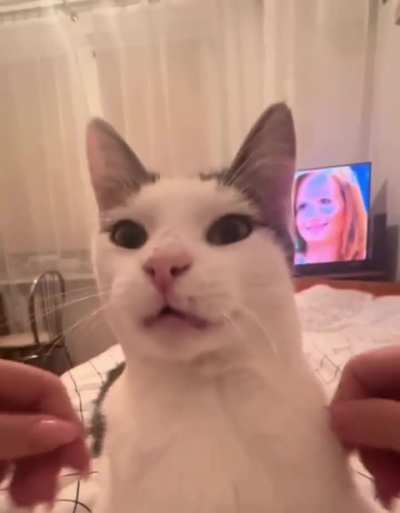 Furry Happiness