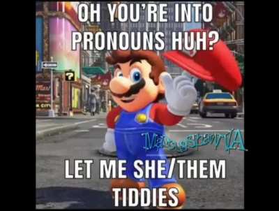 Politically Correct Mario