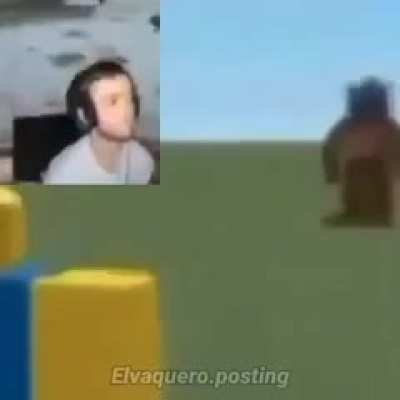 Resumen de los memes de 2020