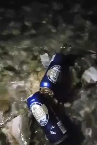 Cooling off some beer in a stream