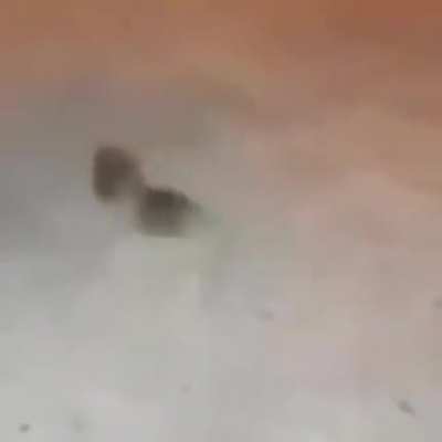 Him