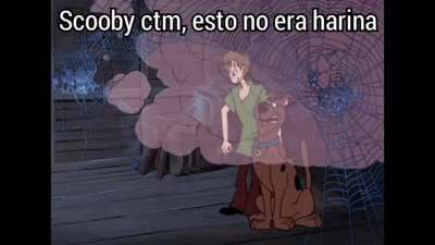 NOOO SCOOBY