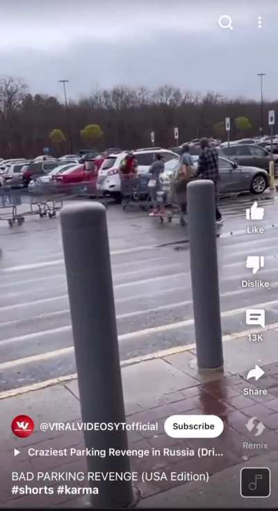 Bad parking revenge