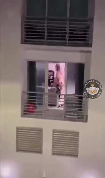 Te amo tiktok! 