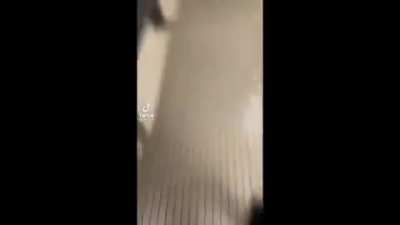 he just wanted to pee