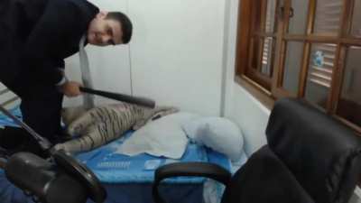 Desculpa se ficou ruim mais eu tô aprendendo a editar agora mais ficou bom