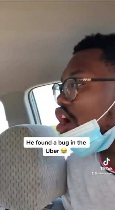 Guy freaks out after finding bug in car