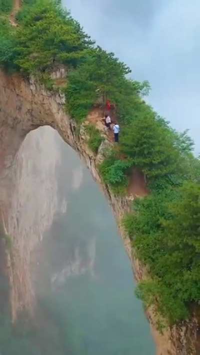 designed by Nature