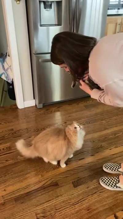 Chonker wants to meet the kitten