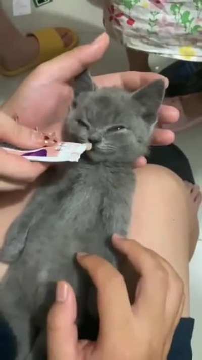 yeah, he's not interested at all.